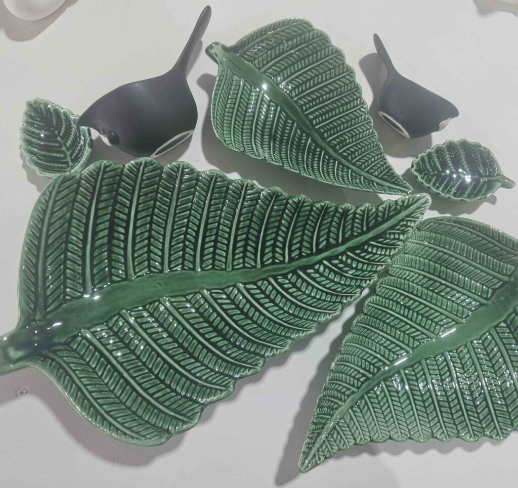 ferns-and-tuis